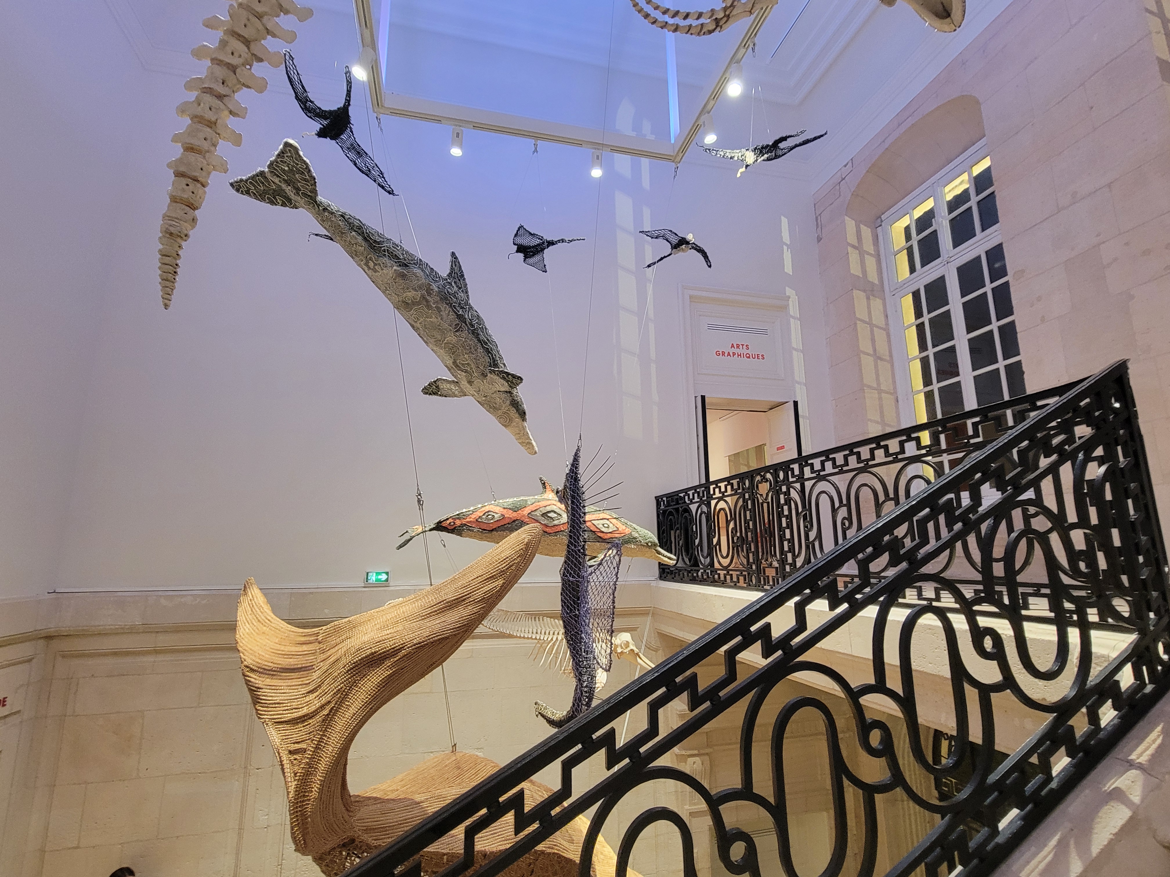 Le MUSEUM du Havre est désormais terminé ! 